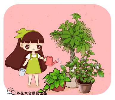 香藤花卉的养殖方法和常见花卉的养殖方法有哪些？