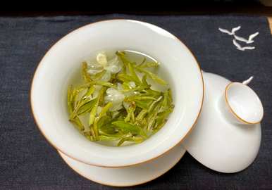 茉莉花怎么割枝，茉莉花怎么养枝？