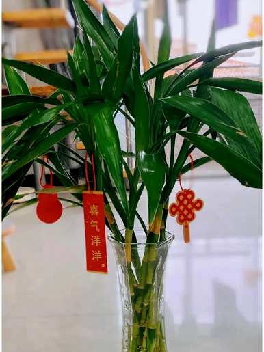 家里养什么植物最好，家庭院子养什么植物好？