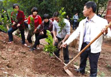 种植柚子树需要注意什么？种植柚子树的方法和注意事项