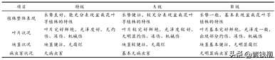 桑树种植方法和技术，桑树种植方法