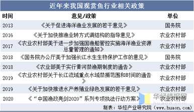 观赏鱼养殖前景如何，观赏鱼养殖前景如何？