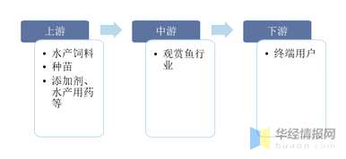 观赏鱼养殖前景如何，观赏鱼养殖前景如何？