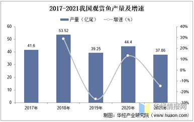 观赏鱼养殖前景如何，观赏鱼养殖前景如何？