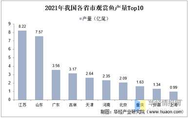 观赏鱼养殖前景如何，观赏鱼养殖前景如何？