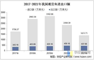 观赏鱼养殖前景如何，观赏鱼养殖前景如何？