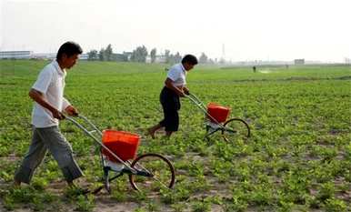 什么时候种花生最好，什么时候种河南花生最好？