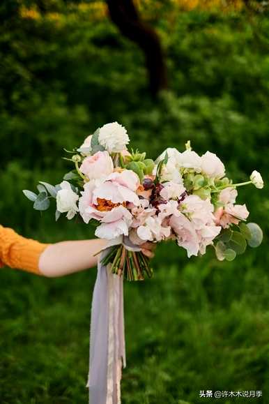 月季花蕾突然发黄枯萎怎么了？月季花的叶子发黄枯萎怎么办？