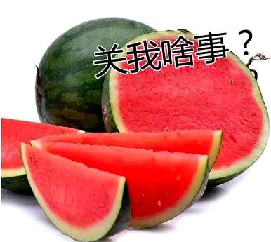 凌波仙子是什么花的称号，凌波仙子玉玲珑是什么花？