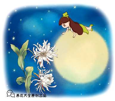 室内昙花冬季养殖法，昙花养殖法是什么？