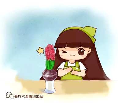 风信子开花后怎么处理？风信子开花后怎么处理？