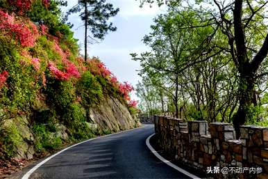 介绍杜鹃花养殖方法及注意事项