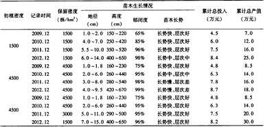 吴川小叶橄榄仁树苗销售，如何培育小叶橄榄仁树苗