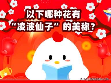 凌波仙子是什么花的美誉，凌波仙子尘袜是什么花的形容？