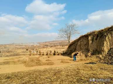 桃树什么季节拉枝，桃树种植季节最好