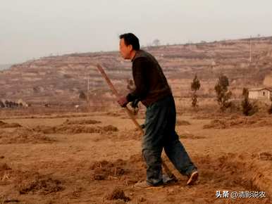 桃树什么季节拉枝，桃树种植季节最好