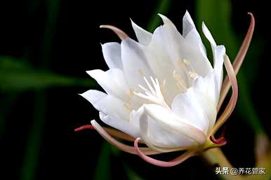 九月是什么季节，九月是什么季节？