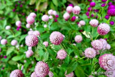 九月是什么季节，九月是什么季节？